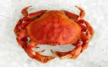 food-4.jpg