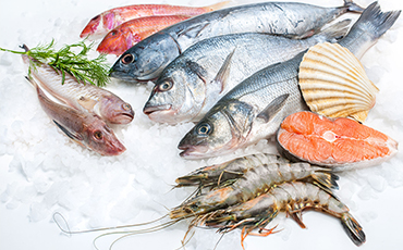food-3.jpg